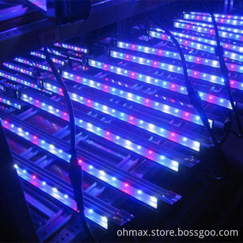 Nursery plants LED grow light, IP65, for vegetables/fruits growth in agriculture/horticulture farms